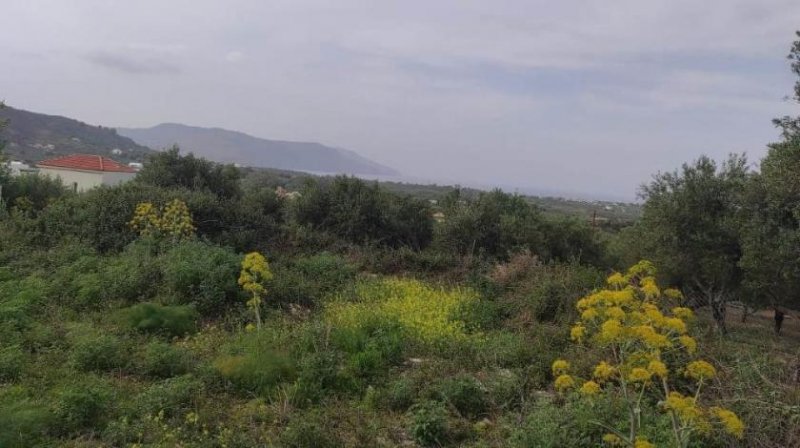 Kavallos Kreta, Kavallos: Grundstück mit Meerblick zu verkaufen Grundstück kaufen